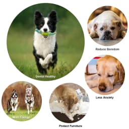 Aelflane Tough Dog Toys,Dog Toys for Aggressive Chewers,Indestructible Dog Toys for Large Breed,Durable Dog Toys for Large Dogs,Bacon Flavor,Green - Thumbnail 5
