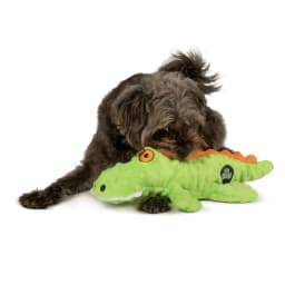 goDog Gator Plush Toy for Dogs with Chew Guard Technology for Stronger & Longer Play, Soft & Durable with Built-In Squeaker, Green, Large - Thumbnail 6