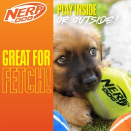 Nerf Dog Toys Squeaky Tennis Ball Dog Toy, 2 inch, 3 Pack - Thumbnail 3