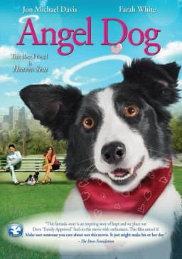 Angel Dog [DVD] - Thumbnail 1