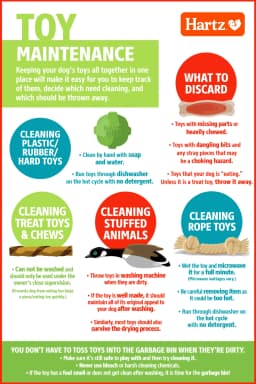 Hartz Chew ‘n Clean Tri-Point Chew Toy, Chicken Flavored Dog Toy For Moderate Chewers, Small - Thumbnail 8