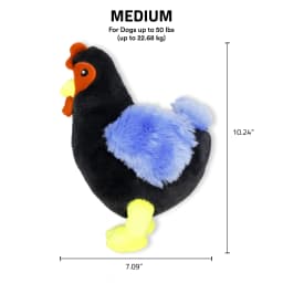Playology Dog Toys | Interactive Stuffed Animal Hen, Chicken Scented Plush Toy, Medium - Thumbnail 5