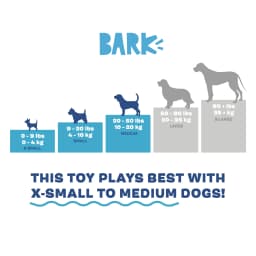 BARK Singing Bass Big Squeak Plush Dog Toy, for Small and Medium Dogs - Thumbnail 3