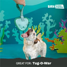 BARK Super Chewer Flingray Tug Ocean Sting Ray Blue Rubber Dog Toy - Thumbnail 6