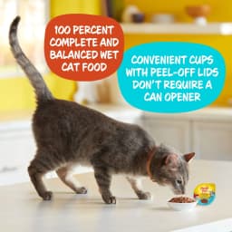Meow Mix Tender Favorites with REAL Tuna & Whole Shrimp in Sauce, Wet Cat Food, 2.75 oz - Thumbnail 4