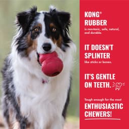 KONG® Donut Durable Dog Chew Toy, Red, Large/Extra Large - Thumbnail 3