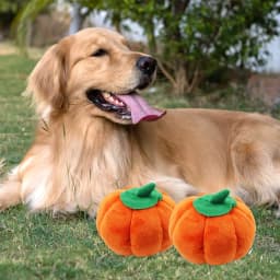 ​2 Pack Durable Pumpkin Chew Toys for Dogs & Cats - Tough Dental Teething Puppy Kitten Toys, Halloween Orange Pet Chewers (5.5 Inch)​​ Orange - Thumbnail 5