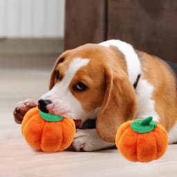 ​2 Pack Durable Pumpkin Chew Toys for Dogs & Cats - Tough Dental Teething Puppy Kitten Toys, Halloween Orange Pet Chewers (5.5 Inch)​​ Orange - Thumbnail 1