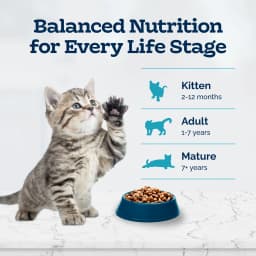 Blue Buffalo Tastefuls Natural Kitten Dry Cat Food, Chicken and Brown Rice Recipe, 5-lb. Bag - Thumbnail 8