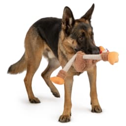 goDog Farm Friends Rooster Plush Toy for Dogs with Chew Guard Technology for Stronger & Longer Play, Soft & Durable, Built-In Squeaker, Brown, Medium - Thumbnail 7