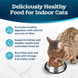Blue Buffalo Tastefuls Dry Food, Adult Indoor Cat, Salmon and Brown Rice, 5-lb. Bag - Thumbnail 4