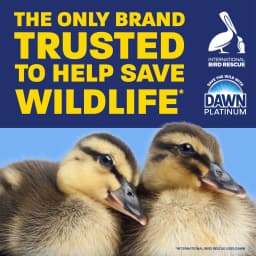 Dawn Platinum EZ-Squeeze Dish Soap Liquid, Dishwashing Liquid, Grease Removal, Fresh Rain, 24.3oz - Thumbnail 6
