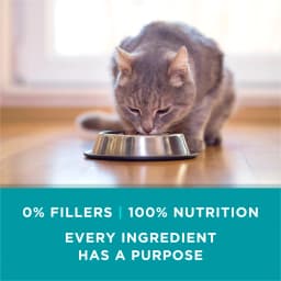 Purina ONE Natural, High Protein Wet Cat Food Variety Pack, Turkey, Chicken and Tuna Recipes, 3 oz, 12 Pack - Thumbnail 9