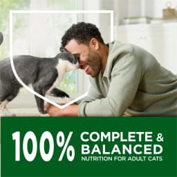 Purina Cat Chow Indoor Healthy Weight and Hairball Dry Cat Food With Chicken, 15 lb - Thumbnail 10