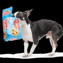 BARK Chomps Abunch Dog Toy, Plush Cookie Box with Cookies, Squeaky, XS to Small Dogs - Thumbnail 6