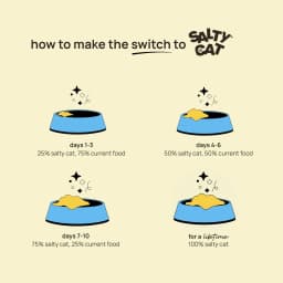 (6 pack) Salty Cat Chicken Dinner Mince in Gravy Wet Cat Food, 13 oz. Can - Thumbnail 7