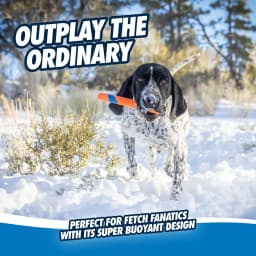 Chuckit! Ultra Fetch Stick Durable Rubber Interactive Outdoor Fetch Dog Toy, 12" for Dogs 10 to 120+ lb All Breeds, Orange and Blue, Pack - Thumbnail 5