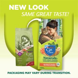 Purina Cat Chow Naturals Chicken Flavor Dry Cat Food, 18 lb Bag - Thumbnail 2