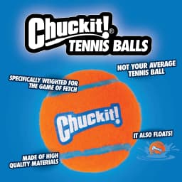 Chuckit! Floating Pelota de Tenis Flotante para Buscar Juguete para Perro, Grande (3") para Perros de 60-100 lb, Paquete de 2, Naranja - Thumbnail 7
