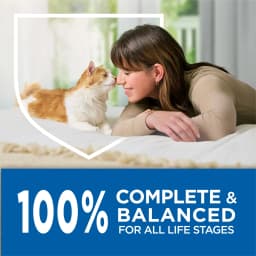 Purina Cat Chow Complete High Protein Dry Cat Food with Real Salmon, 3.15 lb Bag - Thumbnail 9