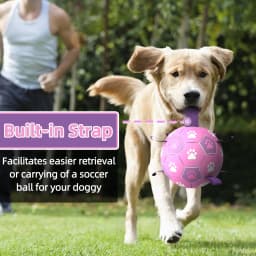 QDAN Durable Dog Toys Soccer Ball with Nylon Straps Hand Pump for Puppies Medium Large Dogs, Pink & Purple, 6-inch - Thumbnail 5