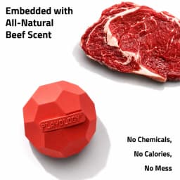Play by Playology | Squeaky Texture Ball Small Beef 3 Pack | Beef Scented Rubber Dog Toy - Thumbnail 4