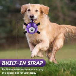 QDAN Durable Dog Toys Soccer Ball with Nylon Straps Hand Pump for Puppies Small Dogs, Purple & Gray, 5-inch - Thumbnail 7