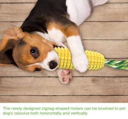 LosFong Ultra-Durable Dog Chew Toys for Aggressive Chewers - Indestructible Corn Cob Design with Squeaker, Tough Puppy Teething Toys for Small - Thumbnail 7
