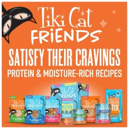 Tiki Cat Friends Wet Cat Food, Chicken & Pumpkin, 2.5 oz. Pouch - Thumbnail 9