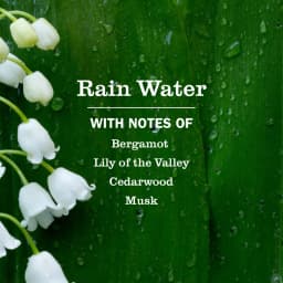 Mrs. Meyer's Clean Day Liquid Dish Soap, Rain Water Scent, 16 Fl Oz Bottle - Thumbnail 4
