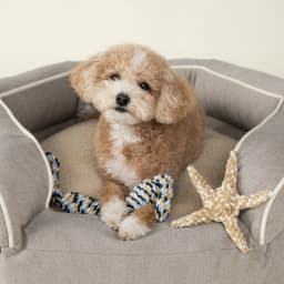 Harry Barker Double Tug Rope Toy, Multi-color - Thumbnail 5