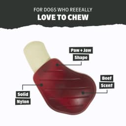BARK Box Pork Chomp Nylon Chew Dog Toy, Pork Scent, For Large Dogs 50+ lbs - Thumbnail 5