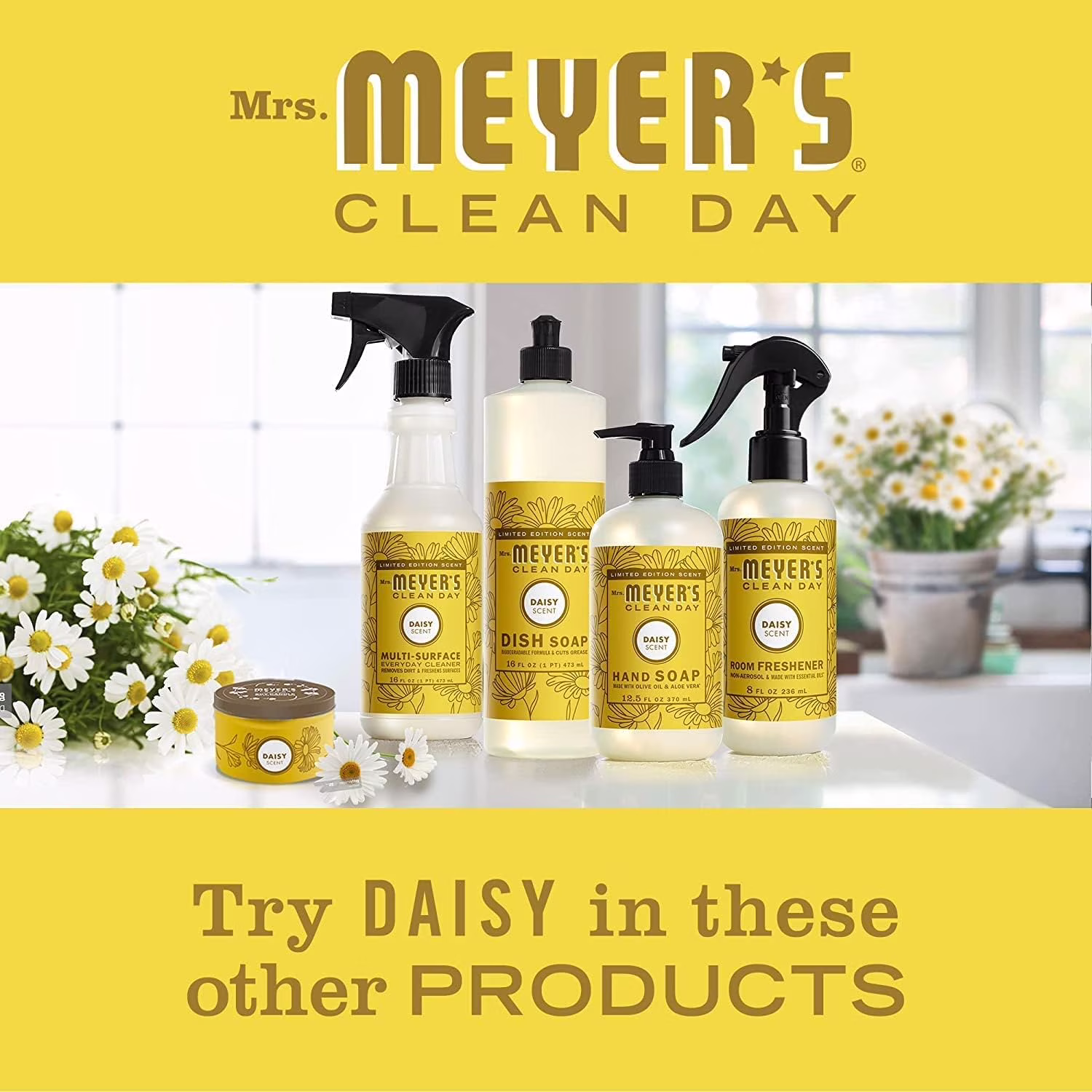 Mrs. Meyer's Clean Day Liquid Dish Soap, Daisy Scent, 16 OZ (Pack of 2) - Thumbnail 4