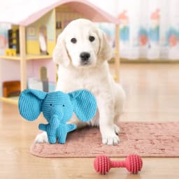 Dog Chew Toys For Aggressive Chewers, Large And Medium Breed Dogs, Indestructible Ball Dispenser With Teeth Cleaning Sound And Cute Small Design C - Thumbnail 5