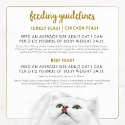Purina Fancy Feast Gravy Lovers Poultry & Beef in Gravy Wet Cat Food Variety Pack, 3 oz Cans (30 Pack) - Thumbnail 9