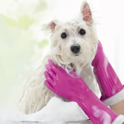 O-Cedar Playtex® Living Gloves, Reusable Cleaning Gloves, Large, 1 Pair - Thumbnail 13