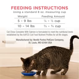 Purina Cat Chow Complete High Protein Dry Cat Food with Real Salmon, 3.15 lb Bag - Thumbnail 10