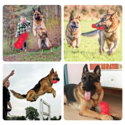PcEoTllar Dog Toys for Aggressive Chewers Large Breed, Slipper Shape Squeaky Dog Chew Toys for Aggressive Chewers Puppies Medium Large Dogs, Red - Thumbnail 4