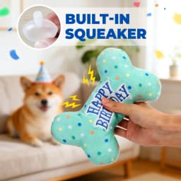 Prime Pets Dog Birthday Toys, Plush Dog Squeaky Toys, Dog Chew Toys Bone for Small Medium Large Dogs - Thumbnail 2