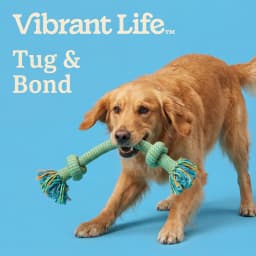Vibrant Life Multicolor 2-Knot Rope Dog Toy, Chew Level 2 - Thumbnail 4