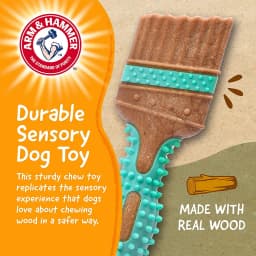 Arm & Hammer Tools 7.5" Wood Mix Paintbrush Durable Dental Dog Chew Toy - Thumbnail 3