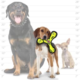 Tuffy Jr Boomerang Yellow Bone Durable Plush Squeaky Dog Toy - Thumbnail 5