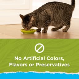 Purina Cat Chow Naturals, Indoor Dry Cat Food, Chicken & Turkey, 3.15 lb Bag - Thumbnail 4