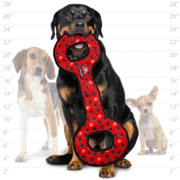 Tuffy No Stuff Ultimate Tug-O-War Red Paw Durable Squeaky Dog Toy - Thumbnail 5