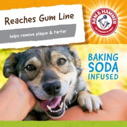Arm & Hammer Nubbies Duality Bone Durable Dental Dog Chew Toy - Thumbnail 4