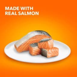 Iams Proactive Health Salmon Dry Cat Food, 7 Lb Bag - Thumbnail 3