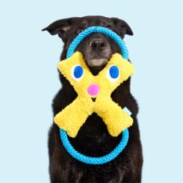 BARK Jinxie Blue Yellow Play Pal Buddy Plush Dog Toy, All Size Dogs - Thumbnail 7
