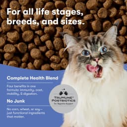 Jinx Atlantic Salmon, Ocean Fish, & Pollock Dry Cat Food, 3 lb Bag - Thumbnail 4