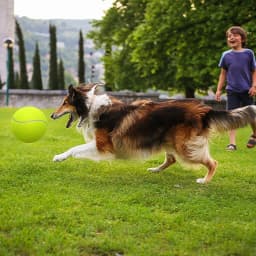 Pet Toy,9.5" bigdogball Rubber Kelly Big Giant Tennis Ball, Thicker Durable Mega Jumbo Dog Play Supplies Fun Thrower Chucker Training,Pet Instincts - Thumbnail 4