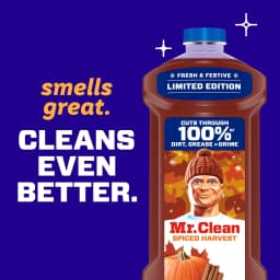 Mr. Clean All Purpose Cleaner, Floor Cleaner, Mop Soap, Cleaning Liquid, Spiced Harvest, Pumpkin, 41 fl oz - Thumbnail 6